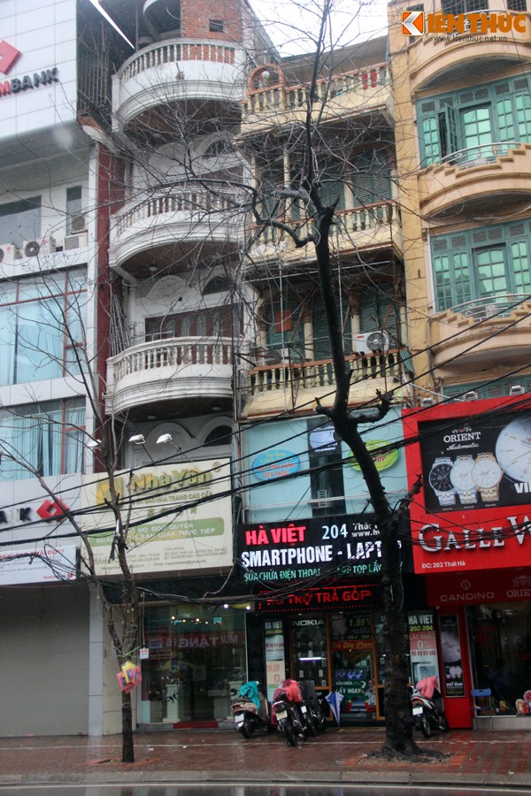 Loat cay kho cho do, de nguoi Ha Noi trong mua-Hinh-7